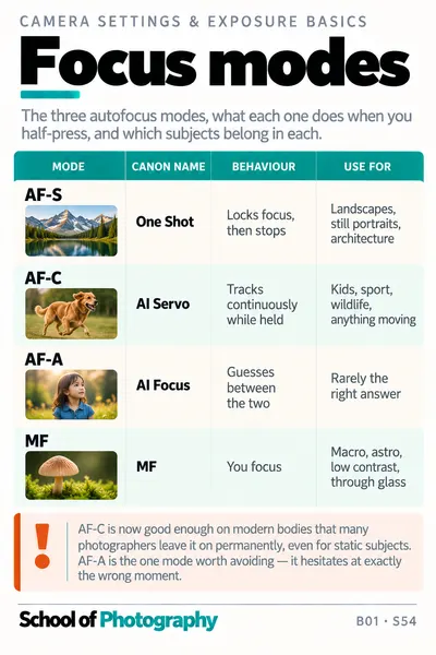 Focus modes (AF-S, AF-C, AF-A) cheat sheet