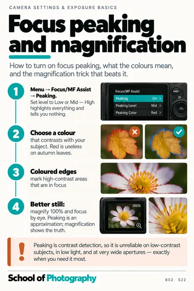Focus peaking and magnification cheat sheet
