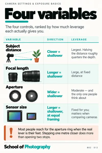The four variables cheat sheet