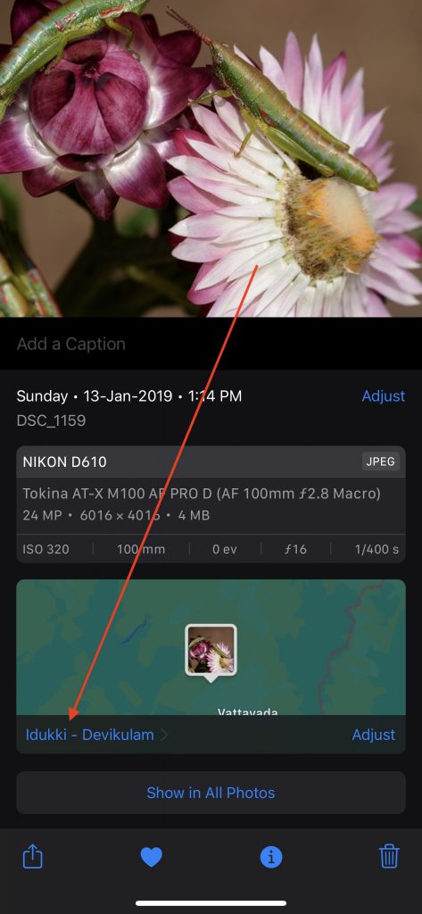 iPhone Photos App showing location metadata along with limited EXIF Metadata Details