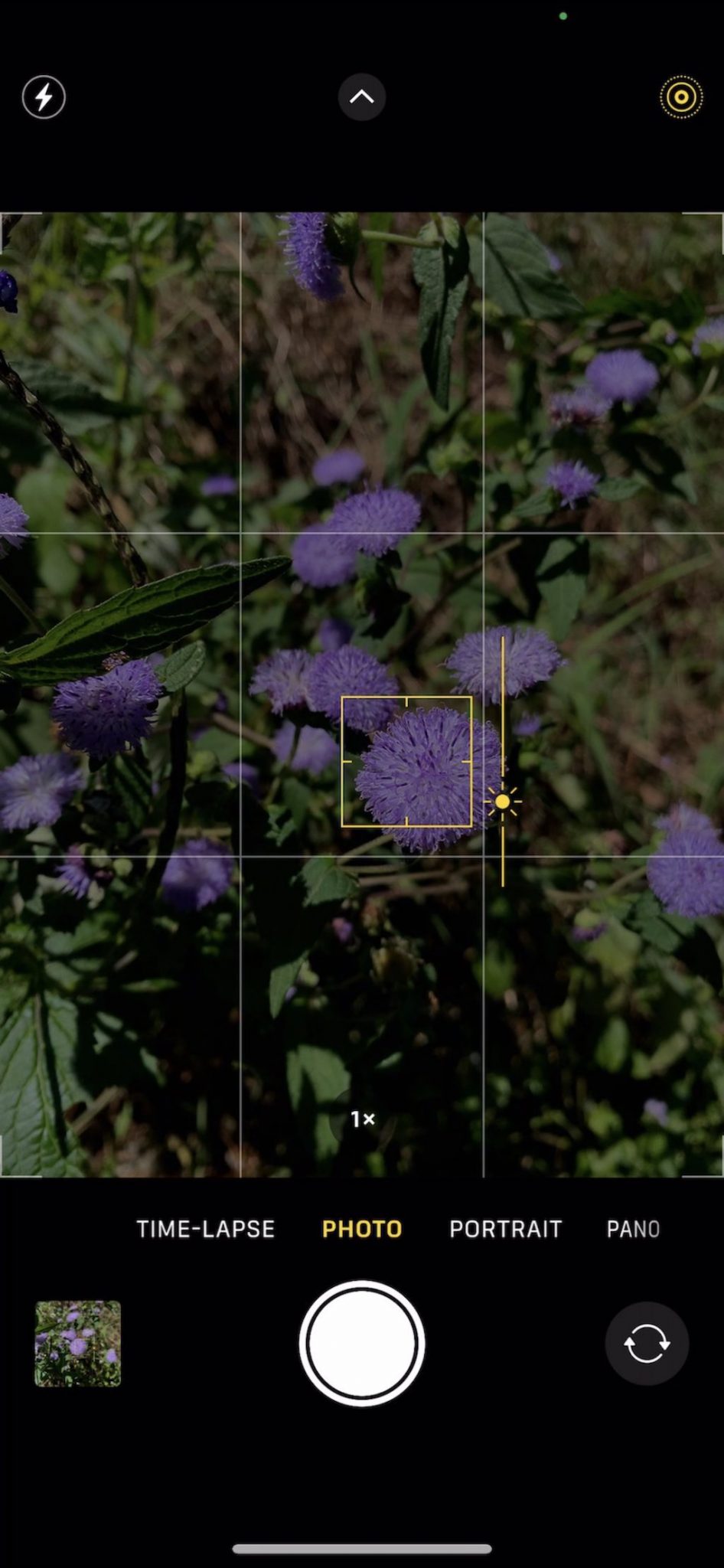 Optimizing iPhone Camera Settings for Better Photography - EXIF Viewer ...