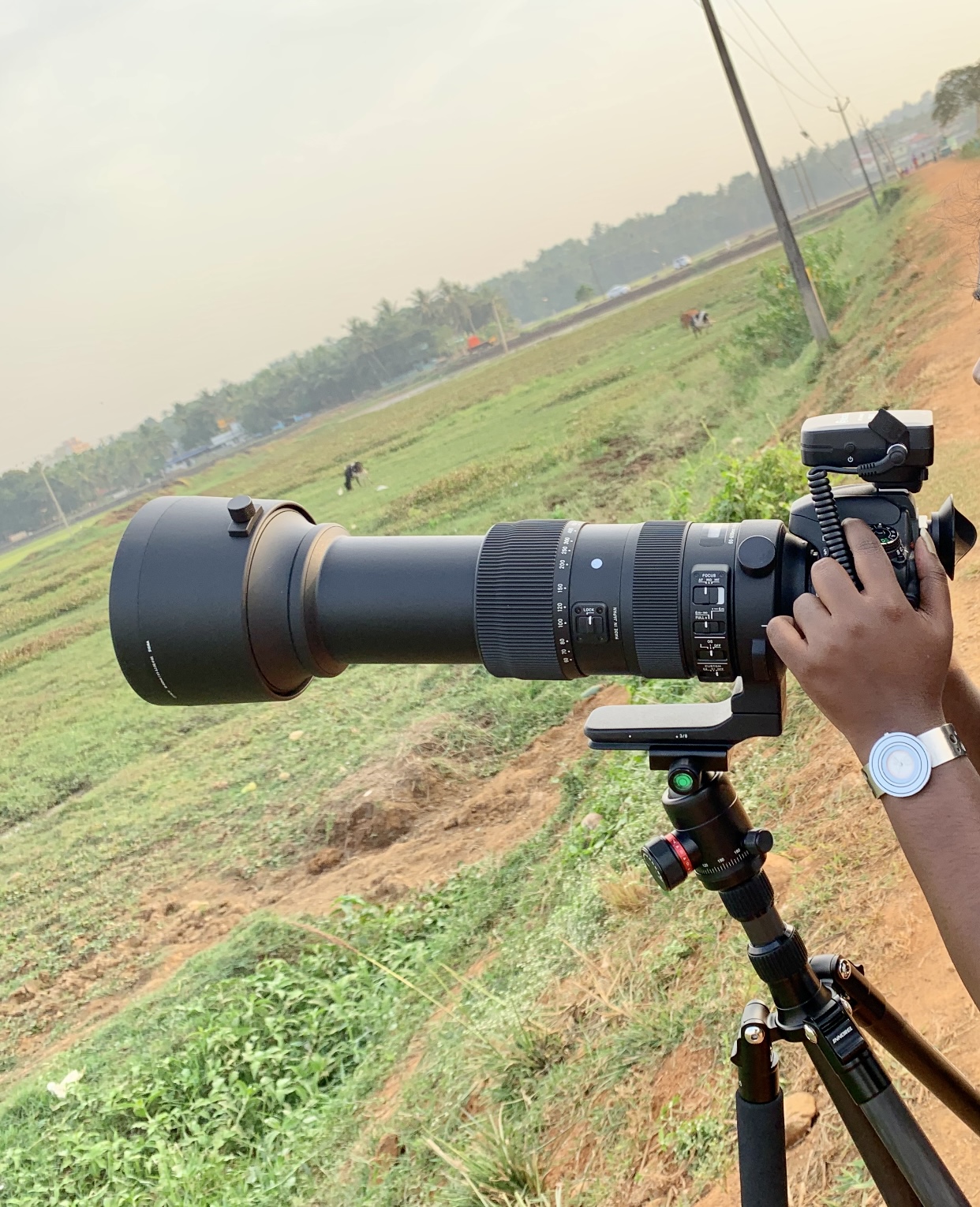 Best Lens for Bokeh effect Photography EXIF Viewer by Fluntro