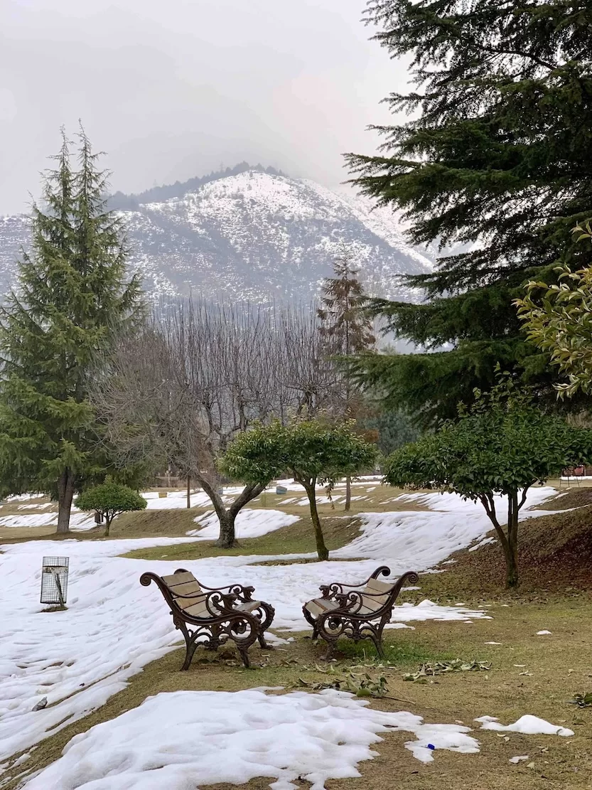 Snow with garden benches