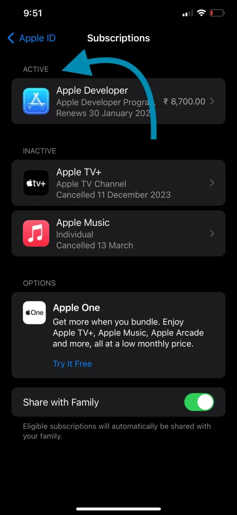 Apple ID iPhone Appstore subscriptions active inactive