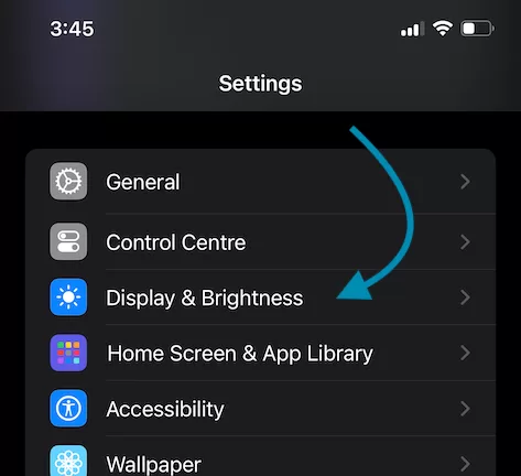 Display and Brightness iPhone Settings Cropped