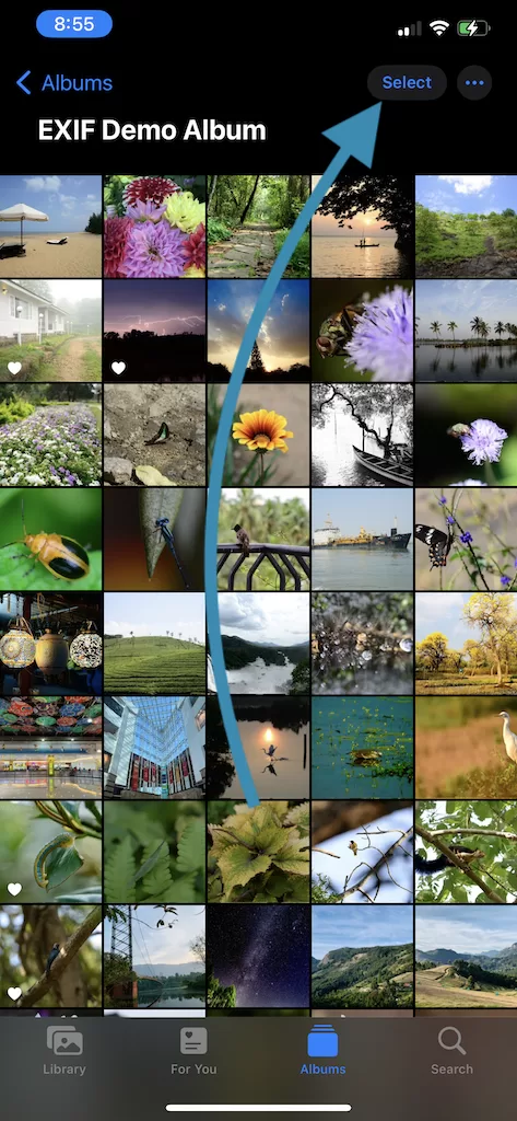 Select button in iPhone Photos App