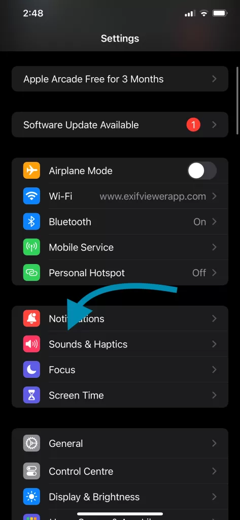 iOS Settings Sound and Haptics