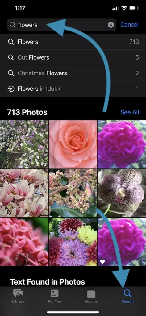 Photos Image search on iPhone Photos App