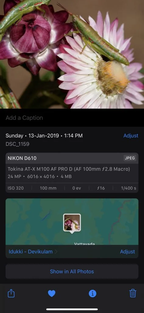 EXIF Image data on iOS 15