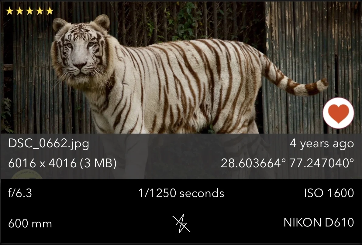 Below shows the screenshot of an image with EXIF metadata using Exif Viewer App by Fluntro on iPad: