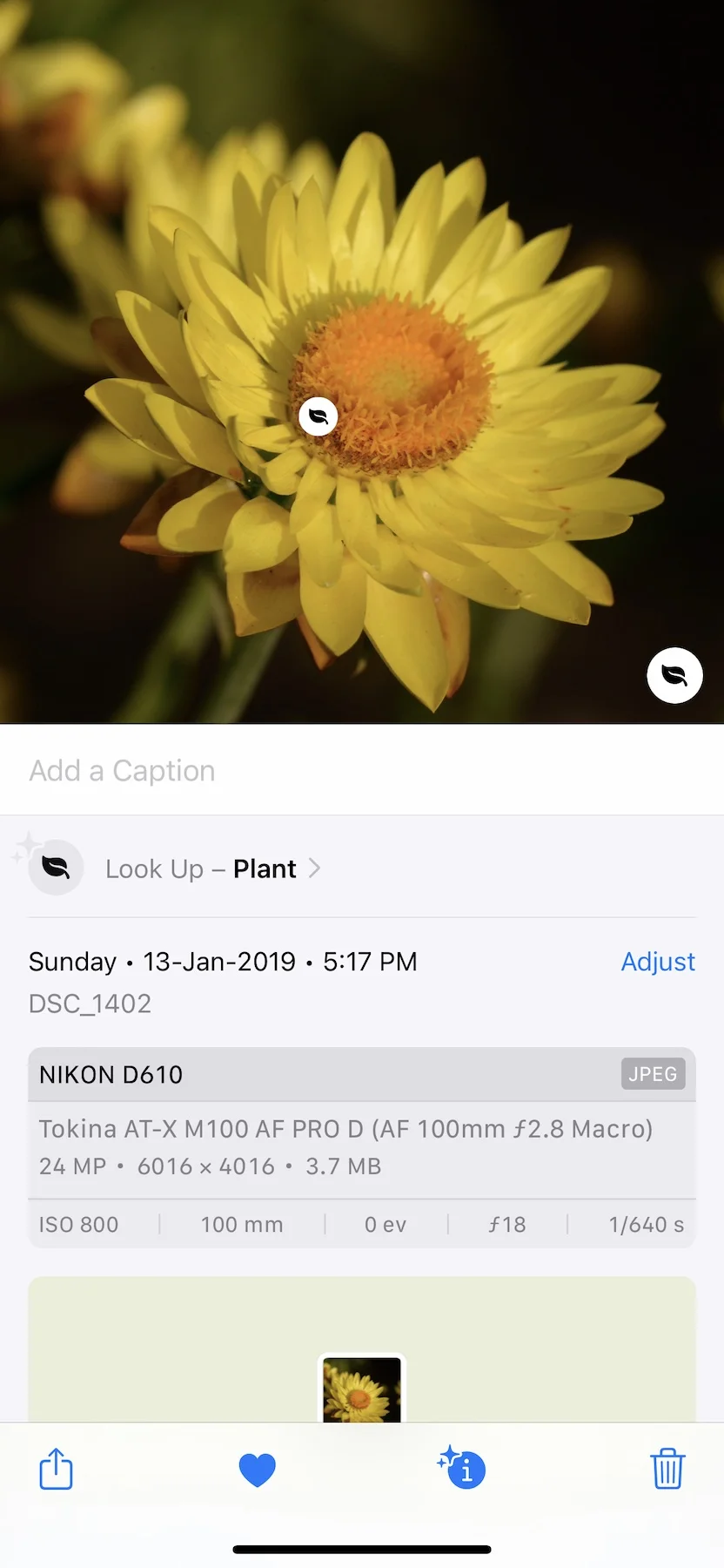 The Significance of EXIF Data in Photography 1 IMG 4301