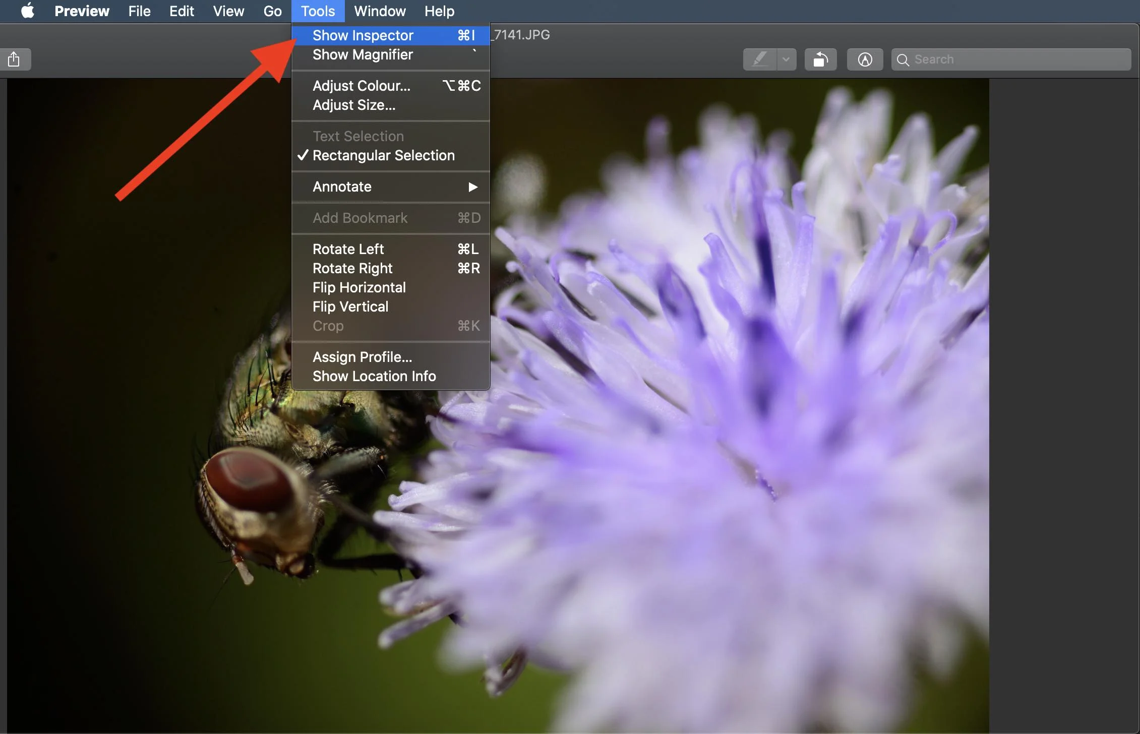 Mac OS Preview App EXIF Step 2