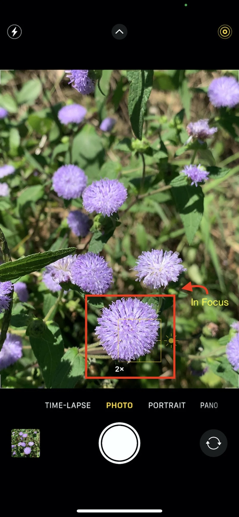 iphone camera focus 1 946x2048 1
