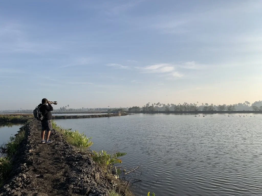 Tips for Wetland Photographer 1 capturing wetlands through photography